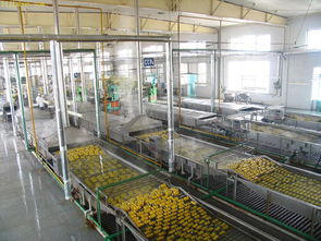 北京食品厂设备回收公司近期报价收购工厂设备